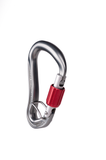 Ascent Lite Belay Screwgate Carabiner